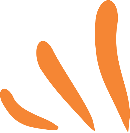 strokes